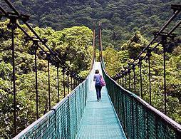 Hanging Bridges at Monteverde
