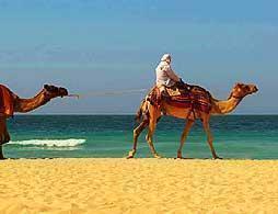 Saddle up for a Camel Ride 