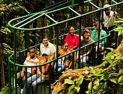 Rainforest Skyrides