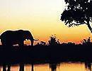 Escorted tour holidays in Africa