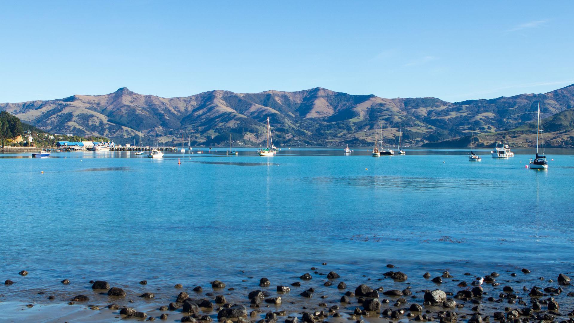 Cruise holidays in New Zealand