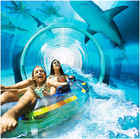 Dazzling Dubai Offers