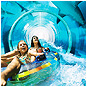 Dazzling Dubai Offers