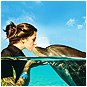 Dazzling Dubai Offers