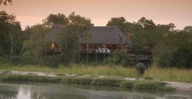 Thornybush Simbambili Game Lodge