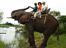Kerala, India - The fun of an elephant ride