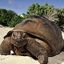 Seychelles - An unspolit serenity on the beach