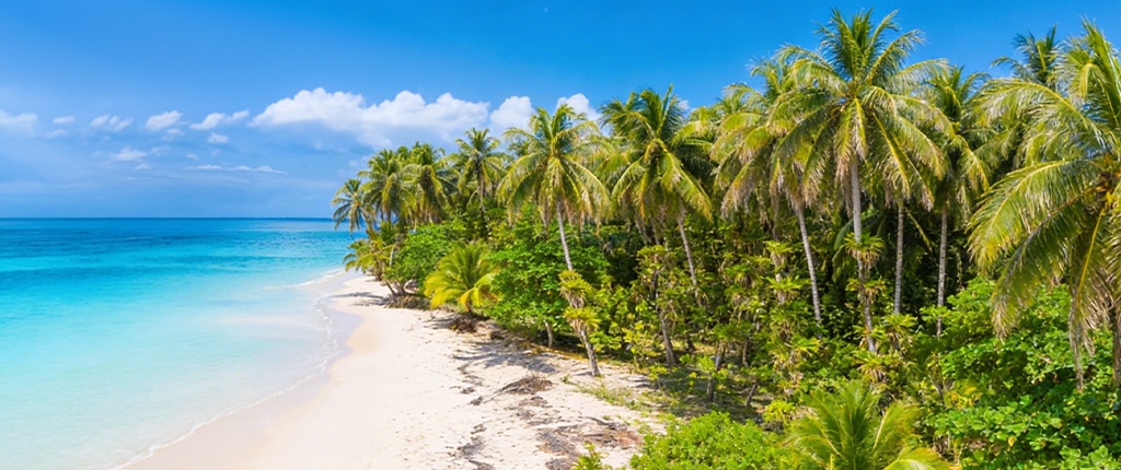 Pacific Beaches