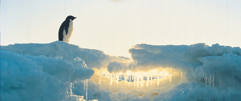 Antarctica