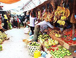 Stone Town - City Tour and Shopping