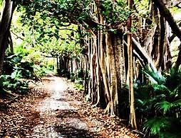 Hidden Gems Winter Excursion