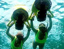 Power Snorkel Adventure at Snorkel Park