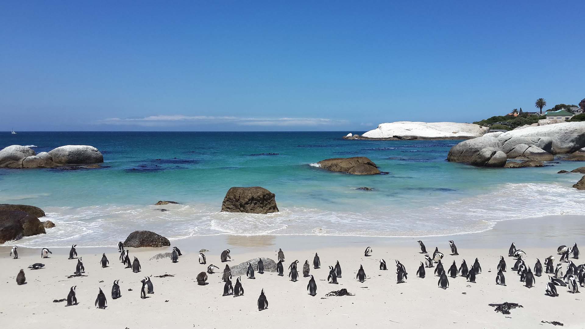 Cycling Cape of Good Hope 