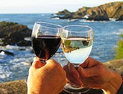 Wine Tour Waiheke Island