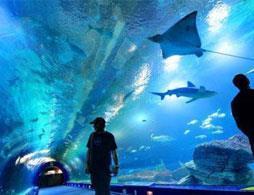 Oceanographic
