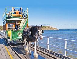 Victor Harbor and McLaren Vale Highlights