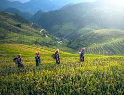 Traditional Bali & Natural Wonders