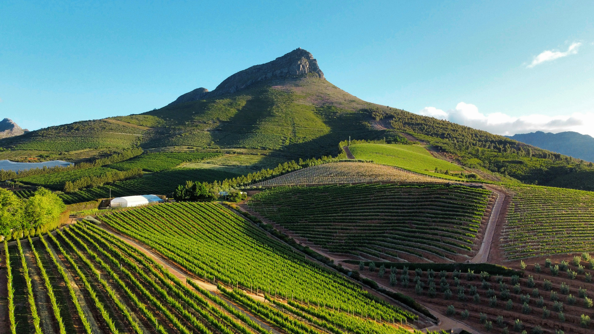 Cape Winelands Tour