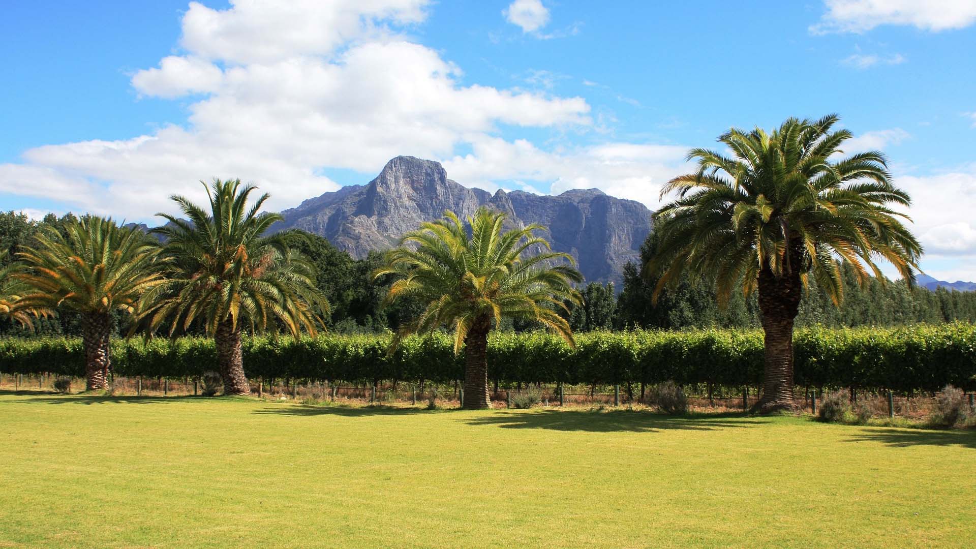 Full Day Cape Winelands Tour