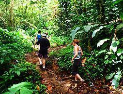 Rainforest Hike & Spa