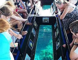 Grand Cayman Glass Bottom Boat & Snorkel
