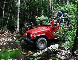 Jeep Tour of Tijuca Forest
