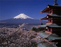 Mt Fuji & Hakone Tour