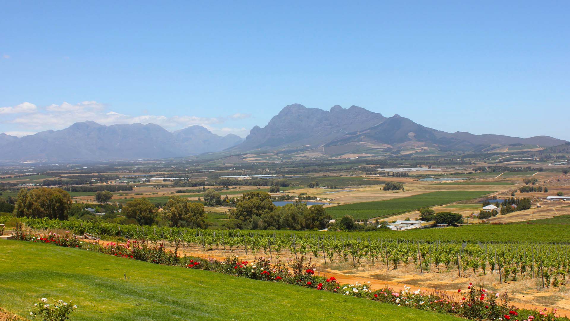 Private Winelands Full Day Tour