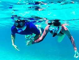 Sundeck Sightseeing and Snorkel Experience