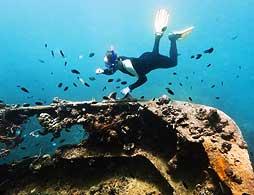 Bermuda Shipwreck Snorkel
