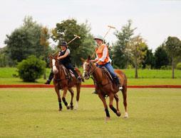Argentina Polo Day 