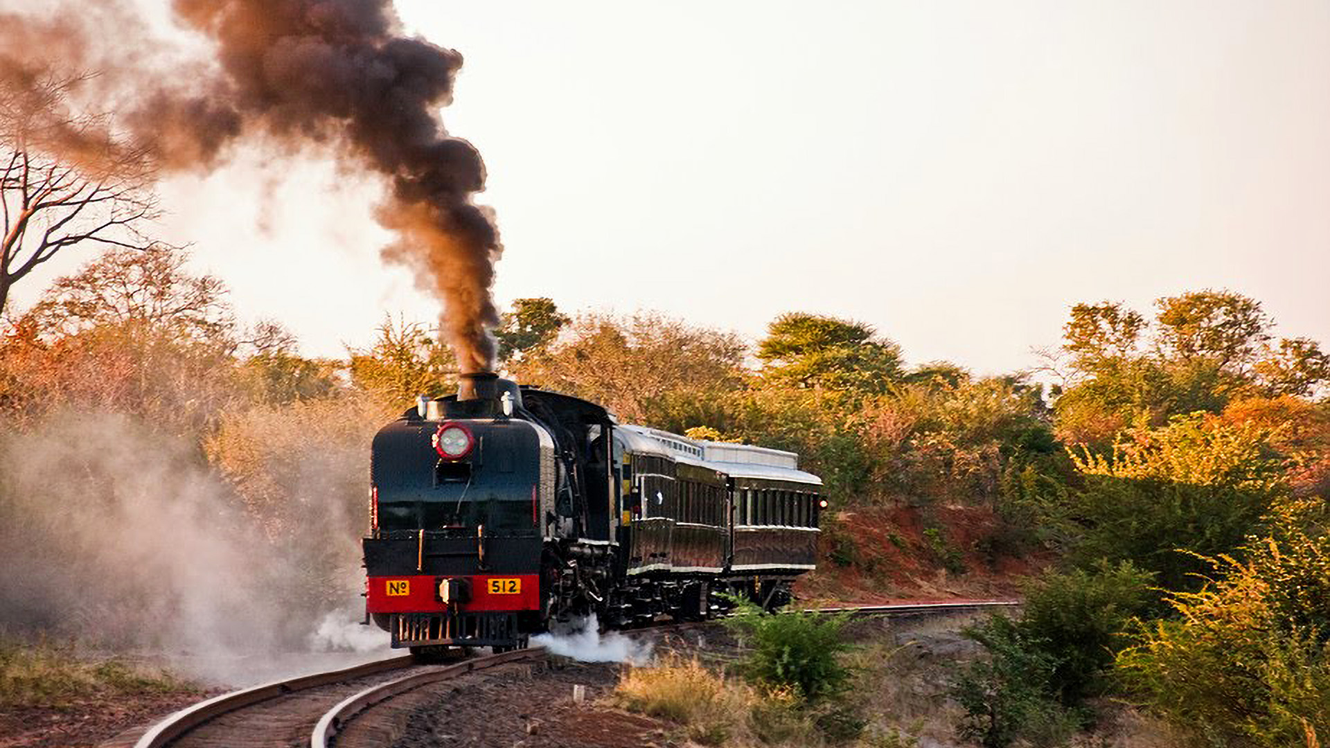 Bushtracks Express - Dinner Steam Safari