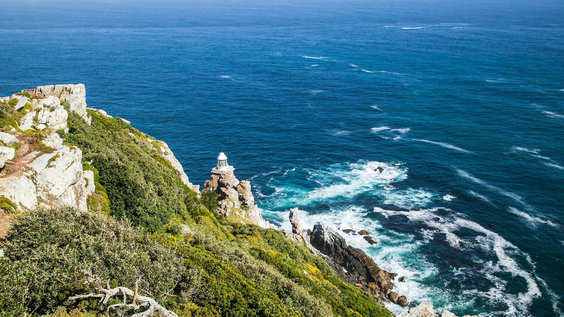 Cape Point and Peninsula Day Tour