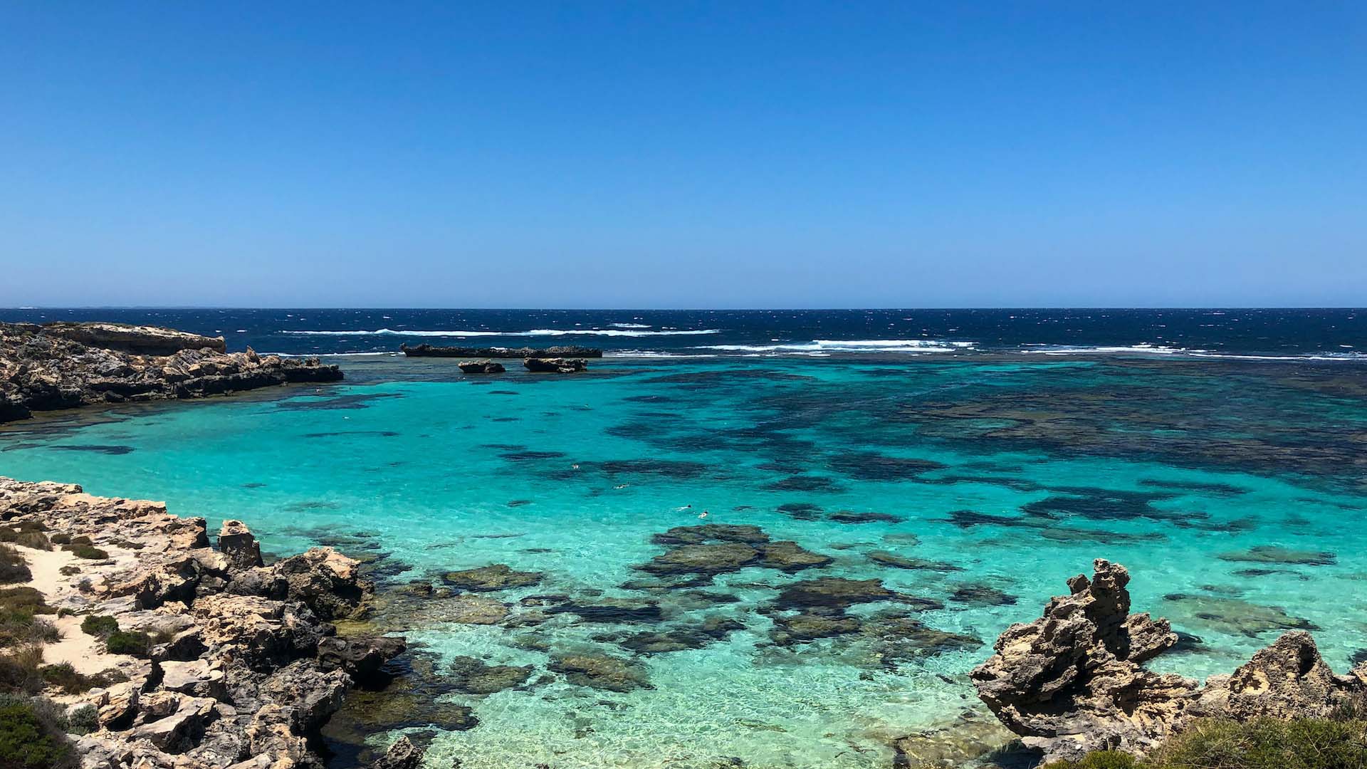 Discover Rottnest with lunch