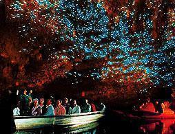 Discover Waitomo Caves
