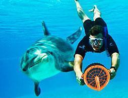 Dolphin Cay - Deep Water Swim