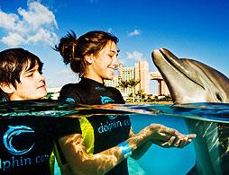 Dolphin Cay - Shallow Water Interaction