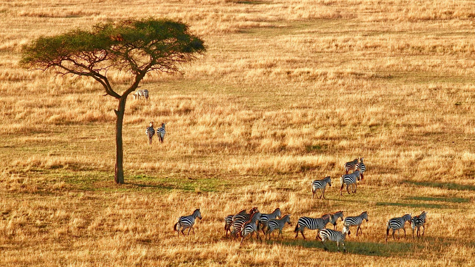 Escorted tour holidays in Africa