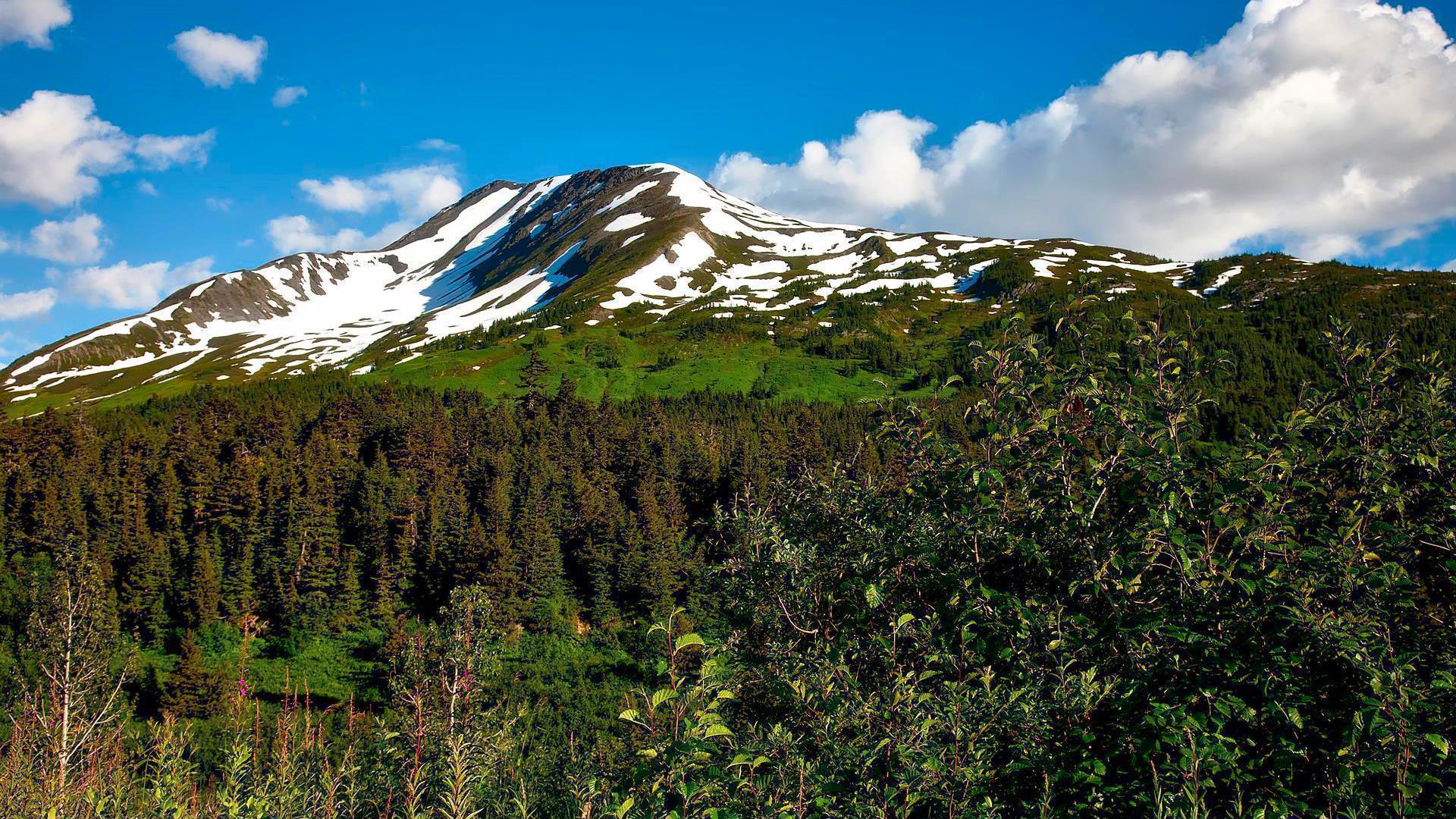 Cruise holidays in Alaska