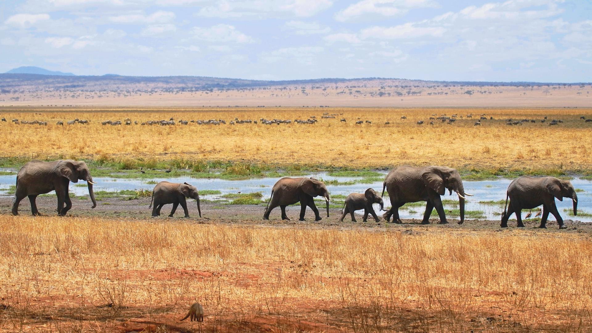 Escorted tour holidays in Africa