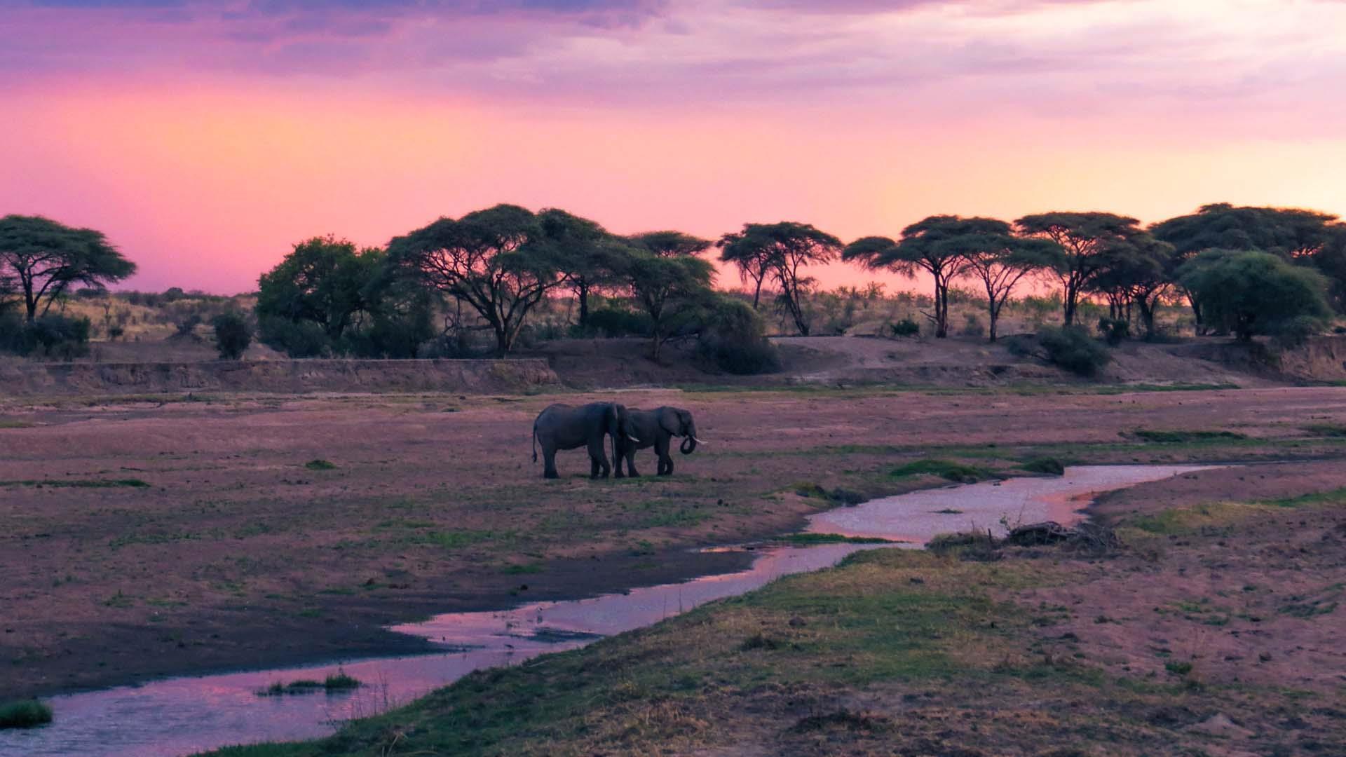 Selous, Ruaha & Mikumi by Road