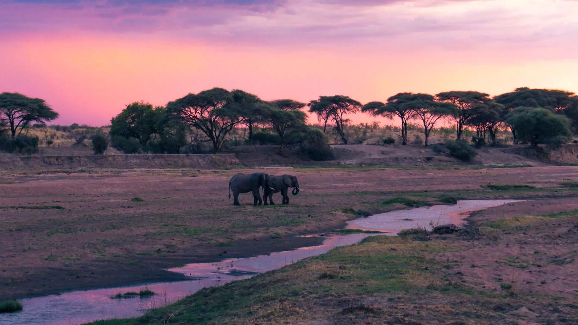 Selous, Ruaha & Mikumi by Road