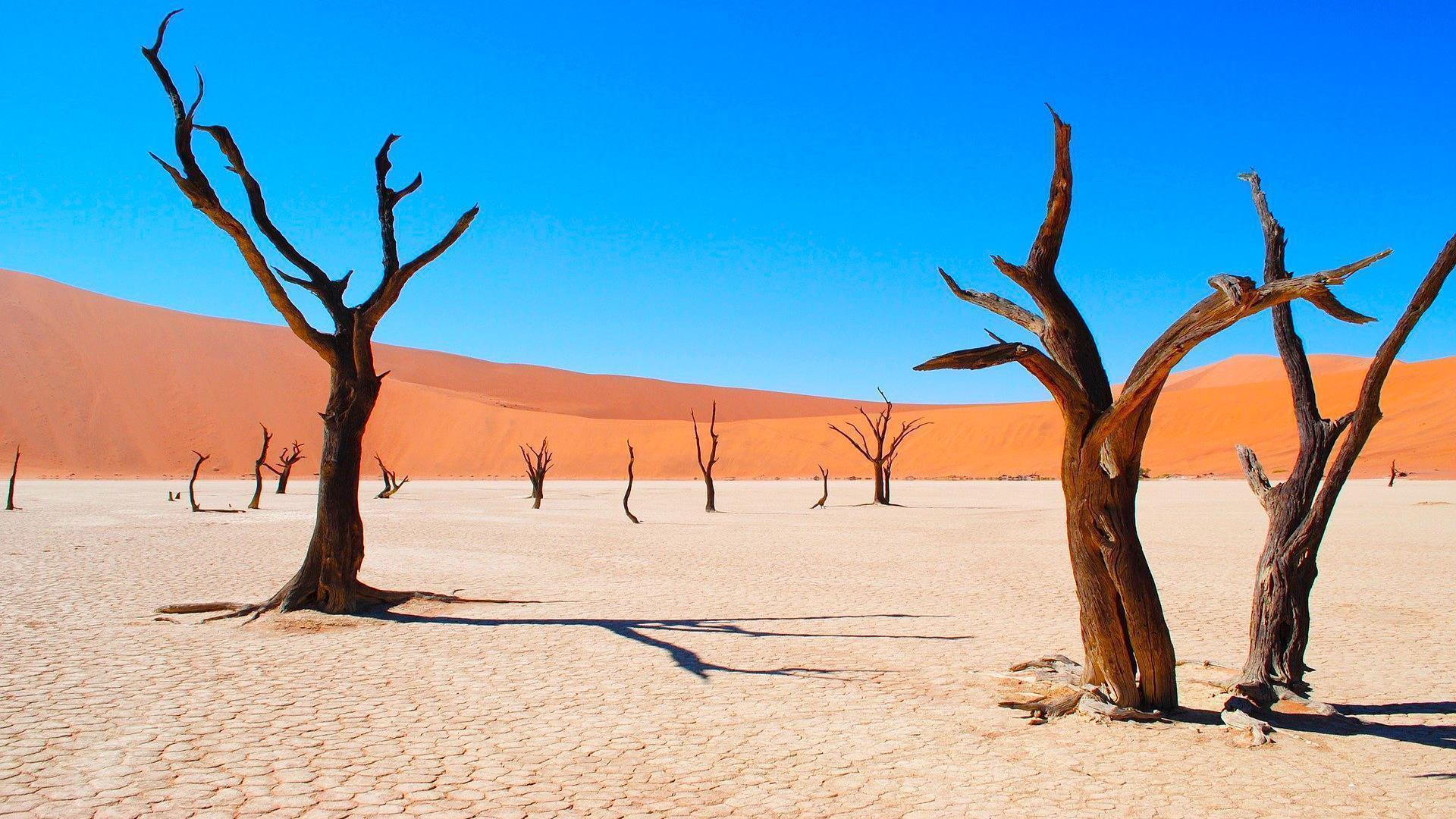 Namibia Southern Odyssey