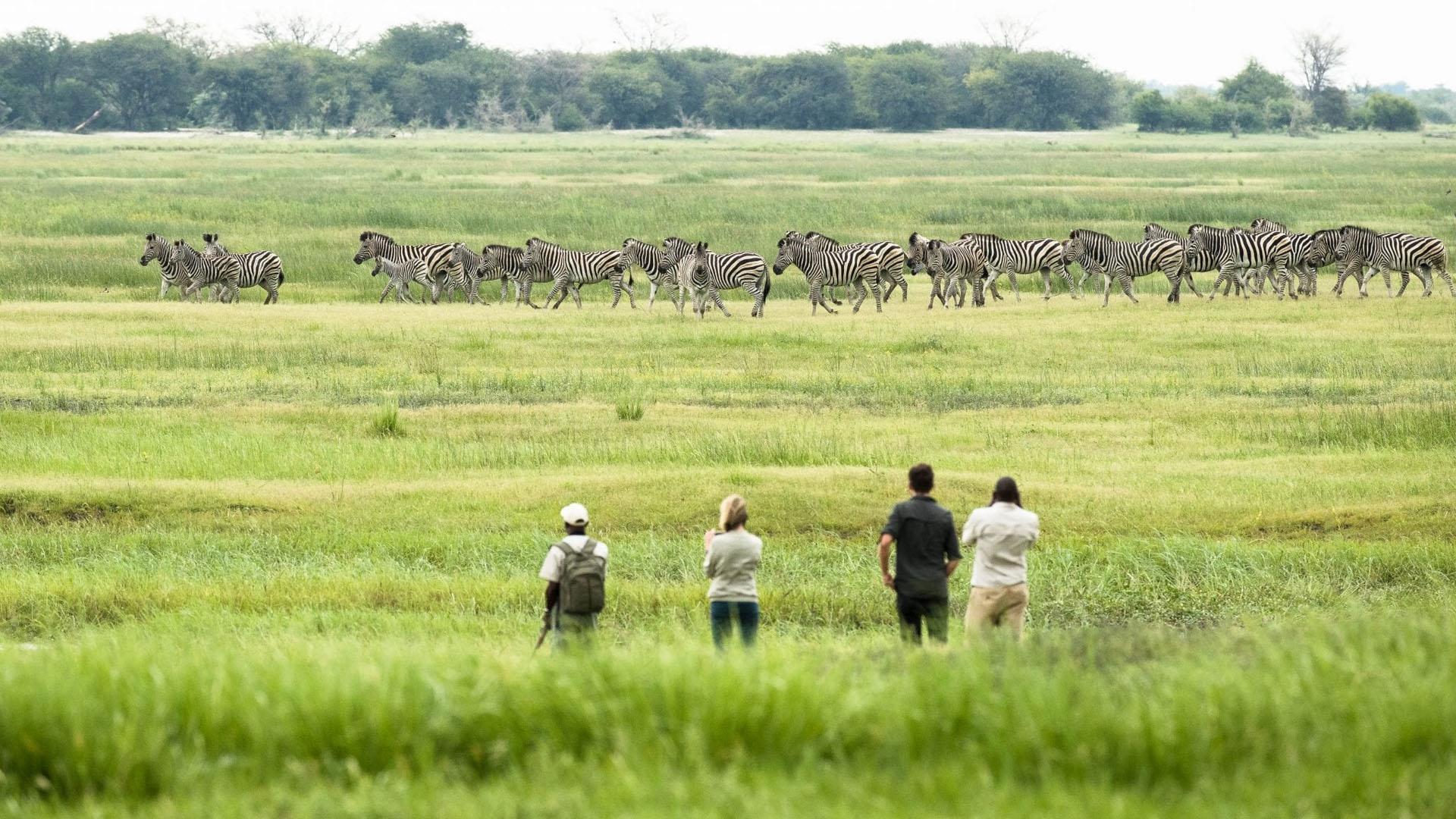 Ultimate Chobe