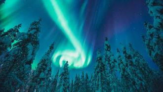 DialAFlight offer